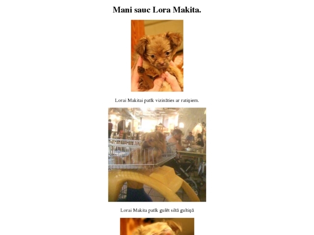 Mak Serv, SIA